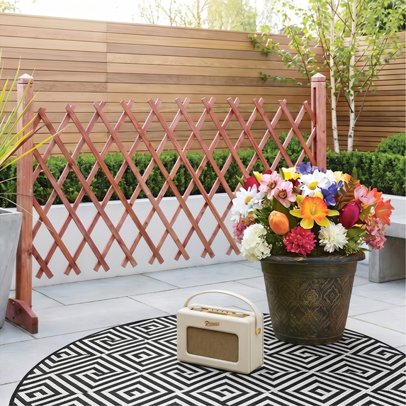 Shop Garden